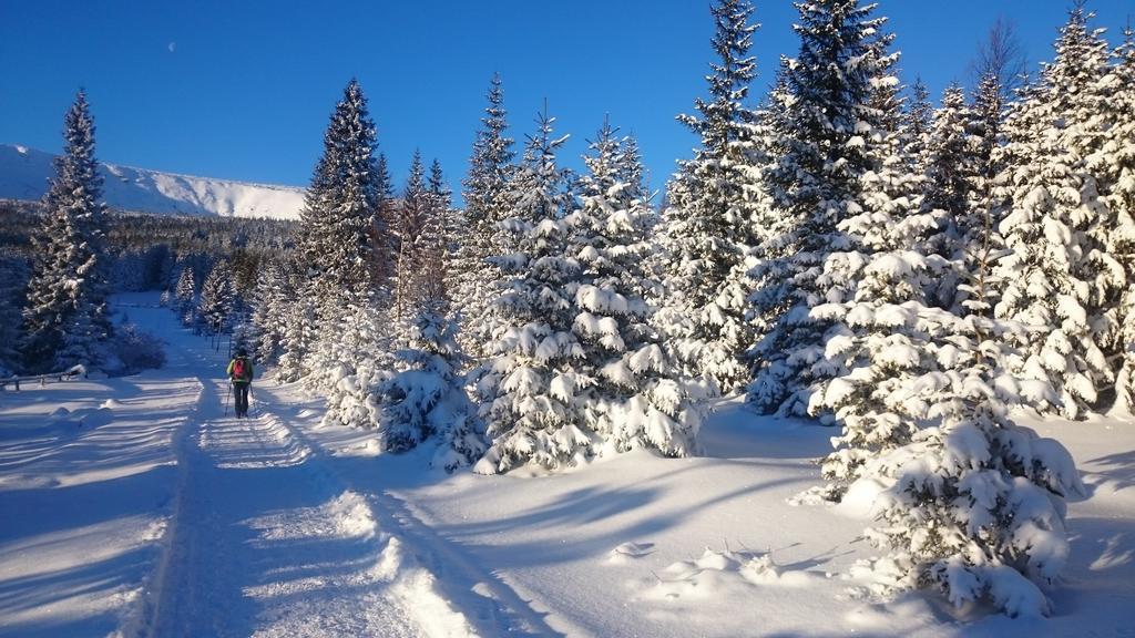 Willa Izery Sklářská Poruba Exteriér fotografie